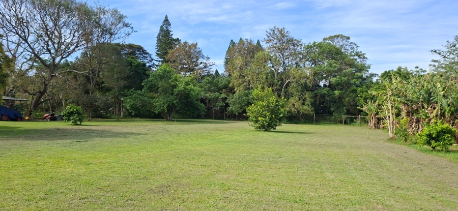Commercial Property for Sale in Meisies Halt Eastern Cape
